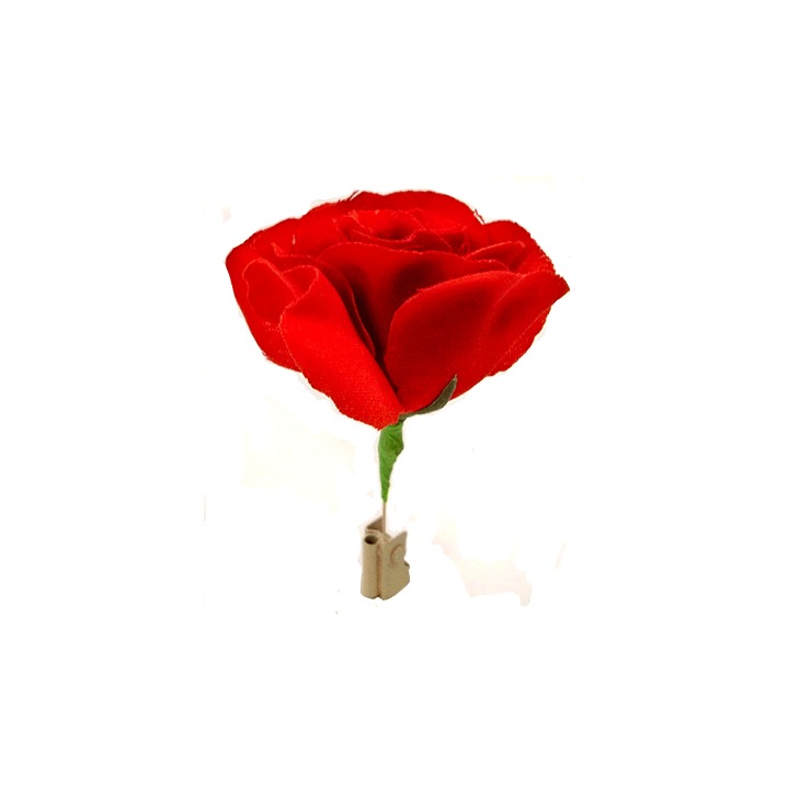 Match to Rose by Mr. Magic