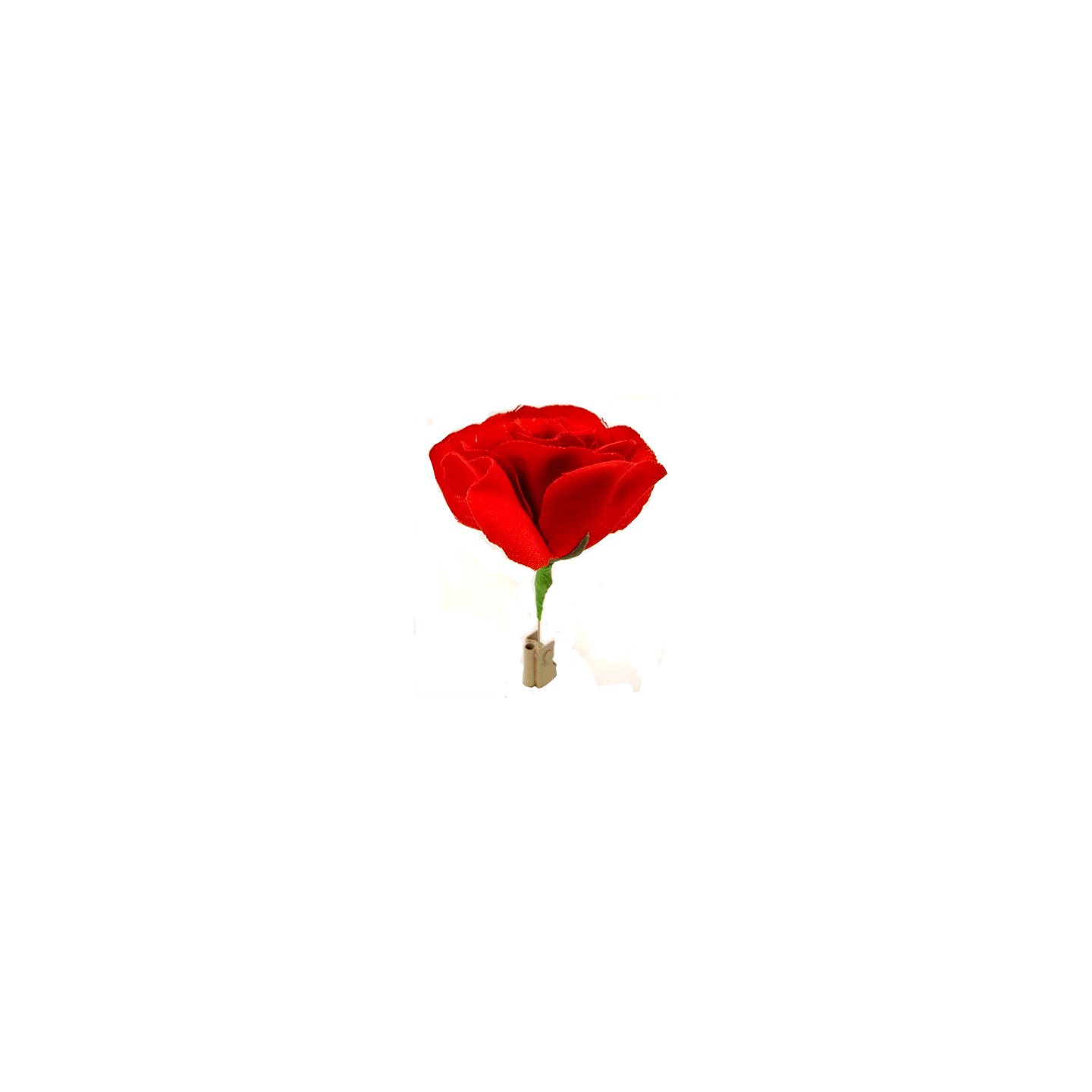 Match to Rose by Mr. Magic