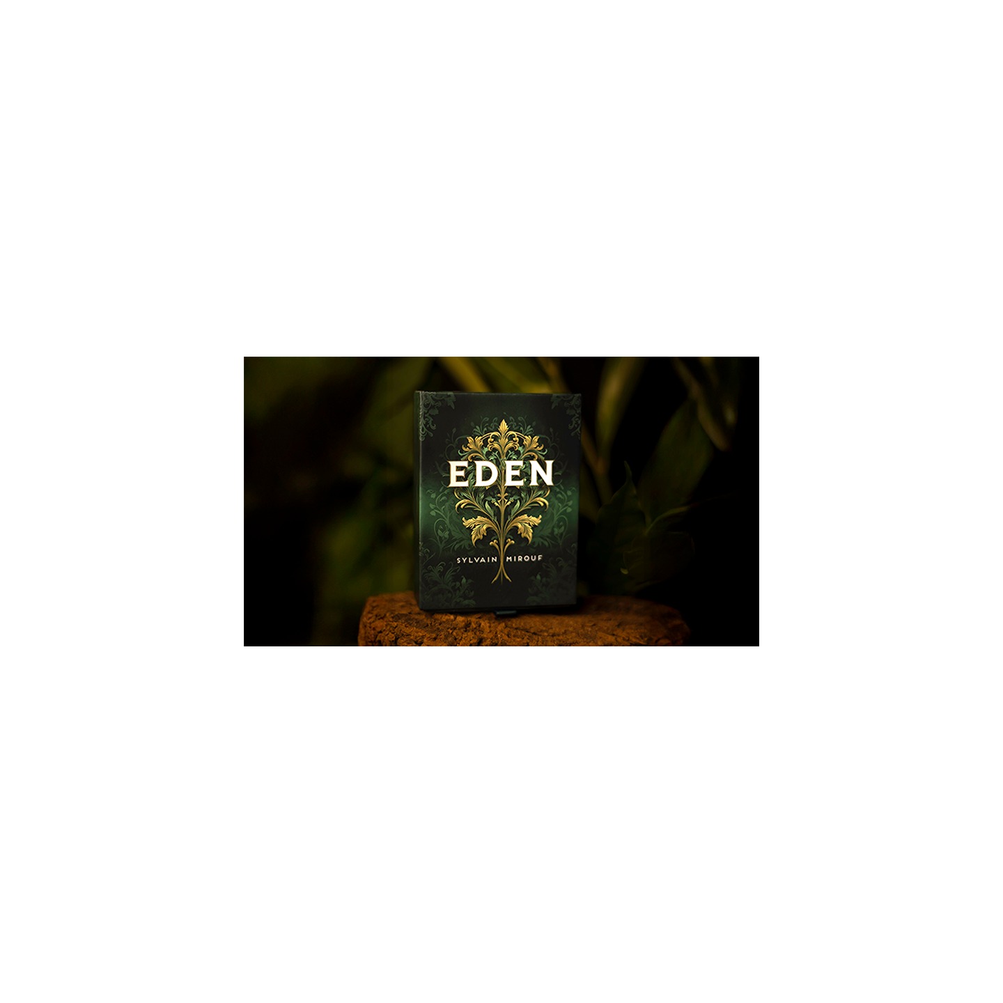 Eden by Sylvain Mirouf and Magic Dream