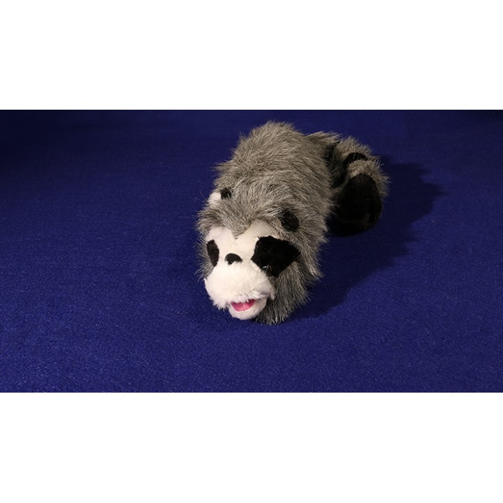 Roxie The Raccoon (Spring Animal)