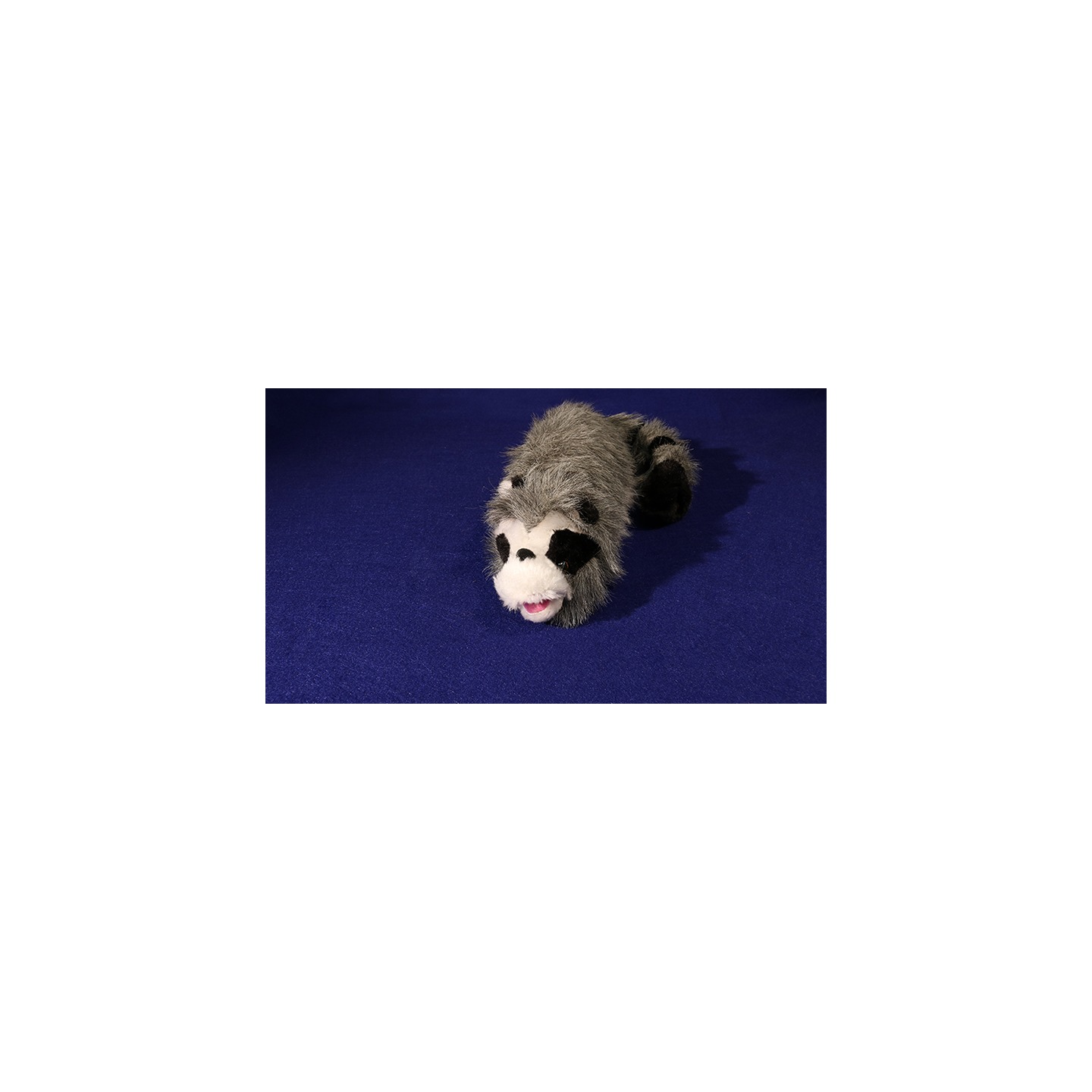 Roxie The Raccoon (Spring Animal)