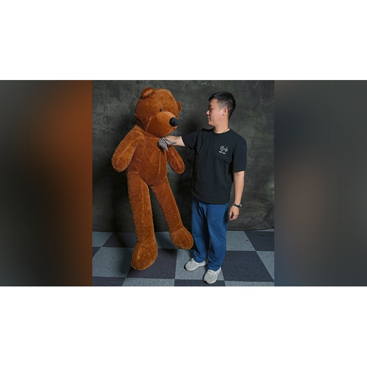 Teddy Bear Appearance (Medium) by MS Magic