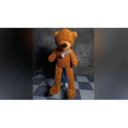 Teddy Bear Appearance (Large) by MS Magic