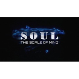 SOUL (Gimmicks and Online Instructions) by Wenzi