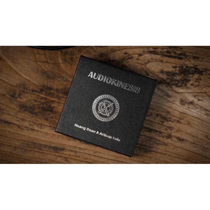 Audiokinesis by Hoang Doan Minh & Artisan Coin (Dollar)