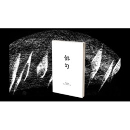 Haiku Book Test 2.0 by Vincent Hedan