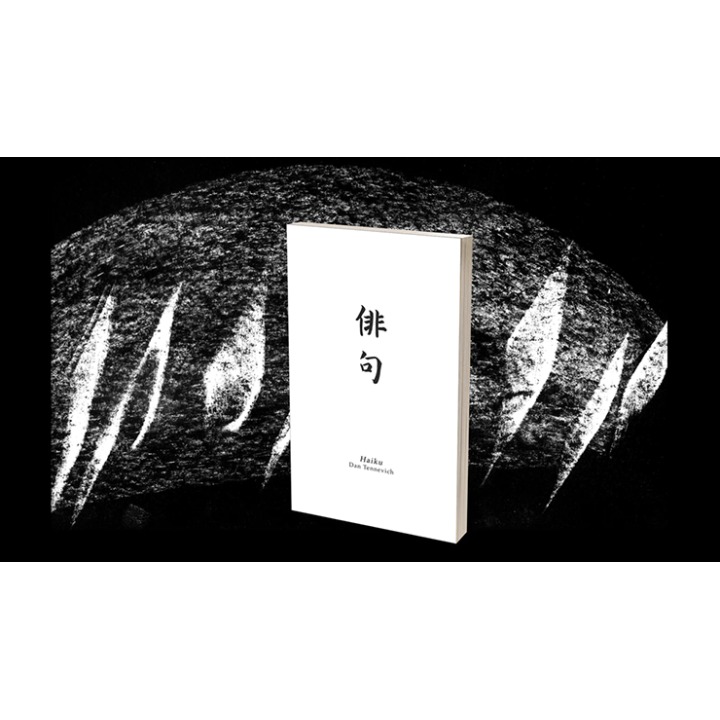 Haiku Book Test 2.0 by Vincent Hedan