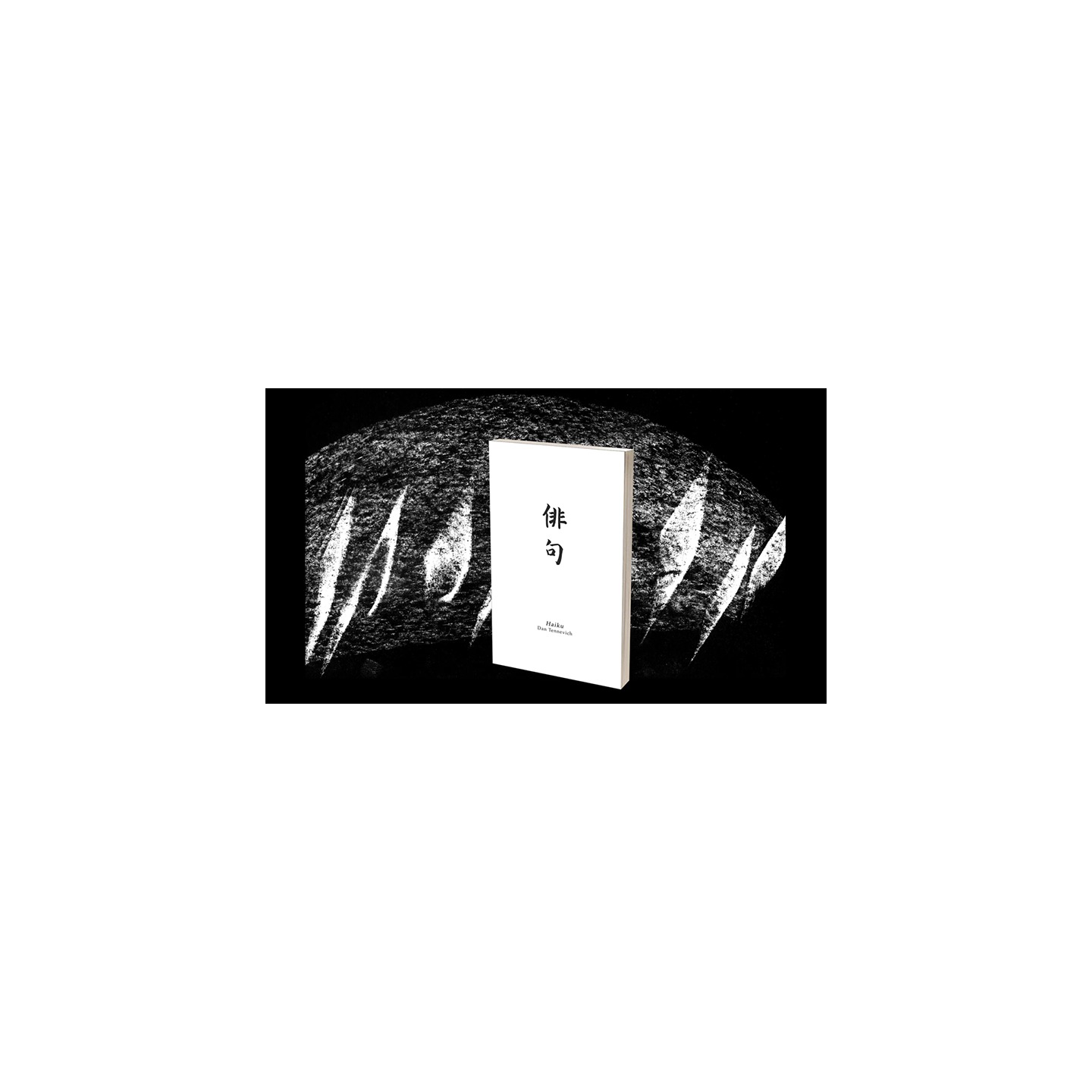 Haiku Book Test 2.0 by Vincent Hedan