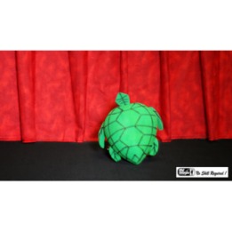 Egg to Tortoise (Sponge) by Mr. Magic