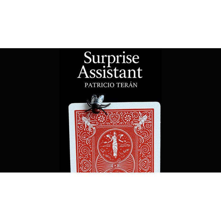 Surprise Assistant by Patricio Teran video DOWNLOAD