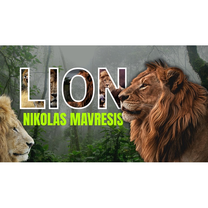 Lion by Nikolas Mavresis video DOWNLOAD