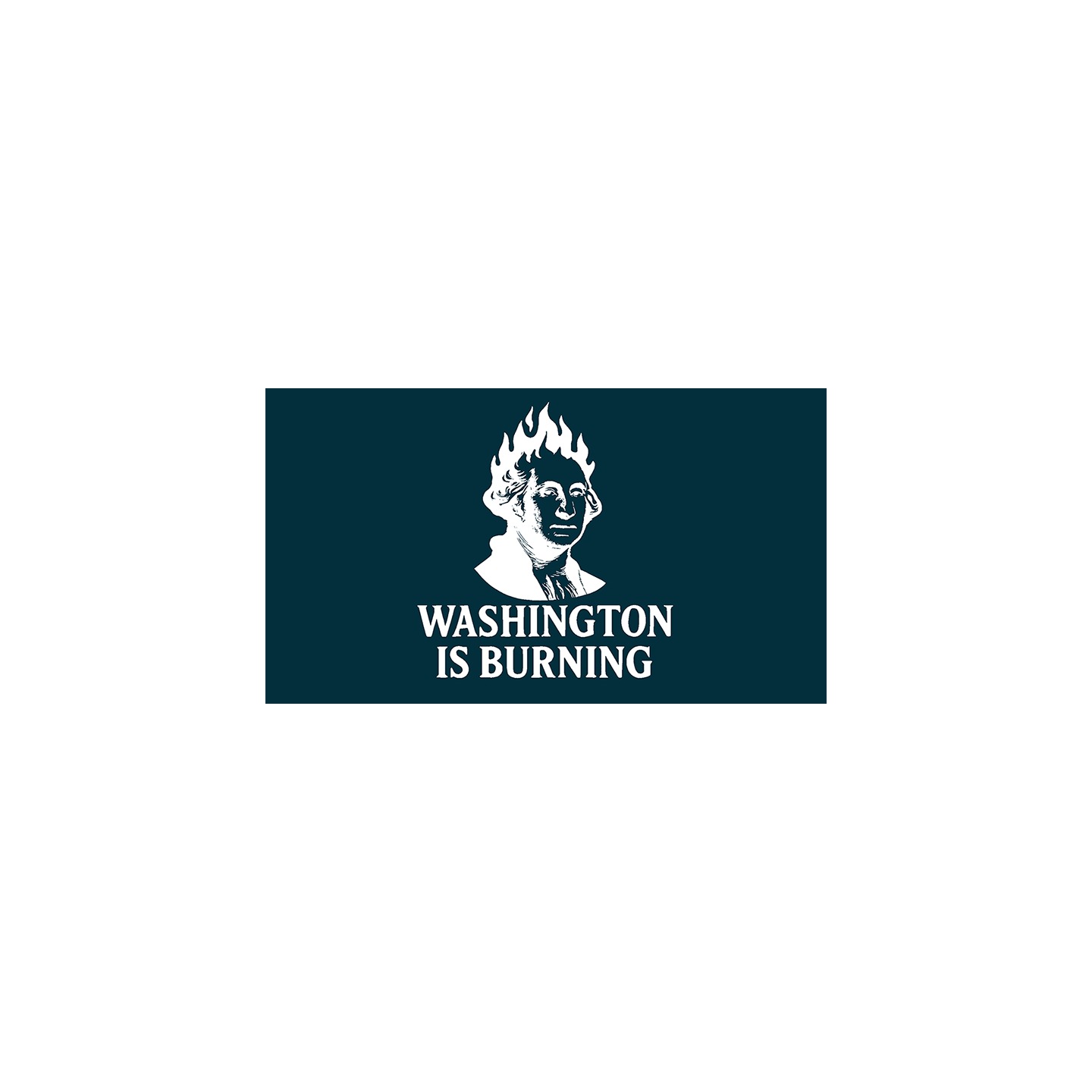 Washington is Burning by Ty Gallenbeck video DOWNLOAD