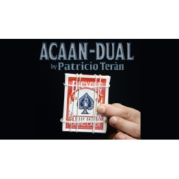 ACAAN dual by Patricio Terán video DOWNLOAD