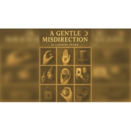 A Gentle Misdirection by Landon Stark eBook DOWNLOAD