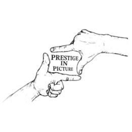 Prestige In Picture by Landon Stark eBook DOWNLOAD