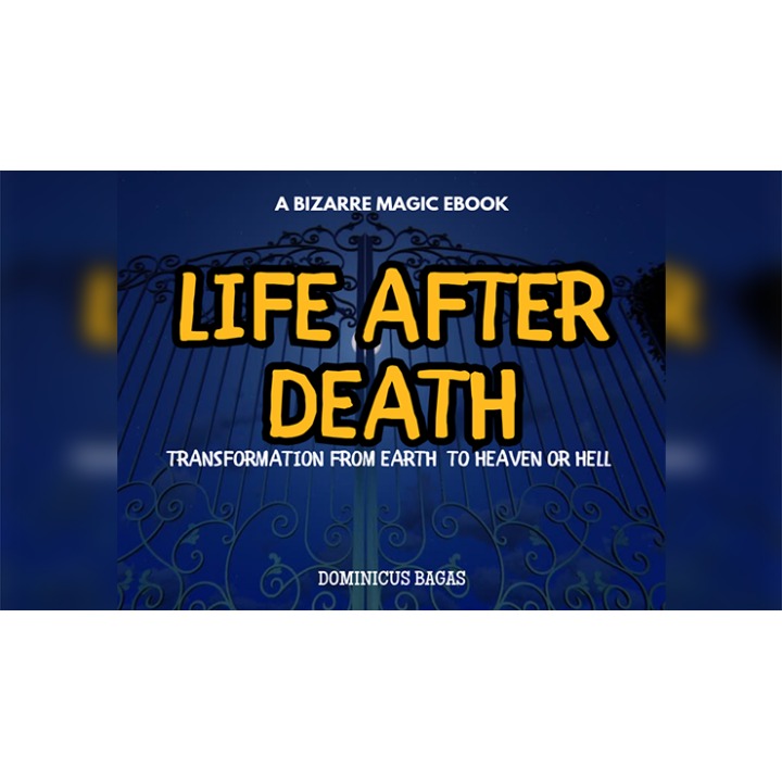 Life After Death by Dominicus Bagas eBook DOWNLOAD