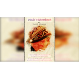 Tribute to Astonishment (Explanations in English and Spanish) by David Miro video DOWNLOAD