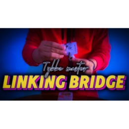 Linking Bridge by Tybbe Master video DOWNLOAD