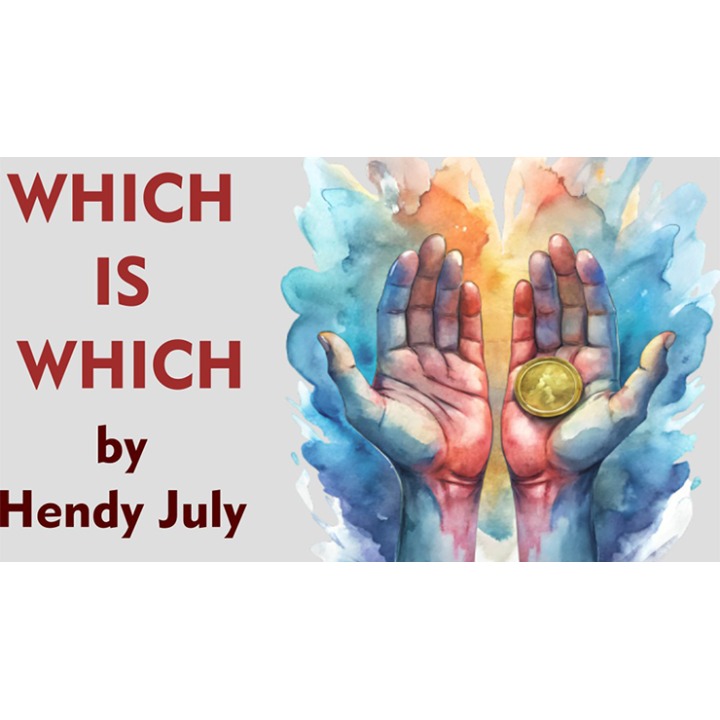 Which is Which by Hendy July eBook DOWNLOAD