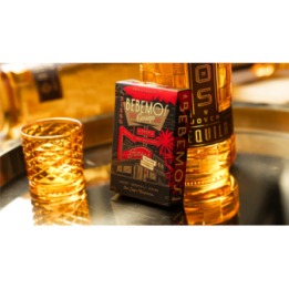 Bebemos Casino Playing Cards by theory11