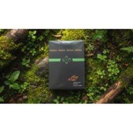 North Wind Beacon Playing Cards by WohStudios