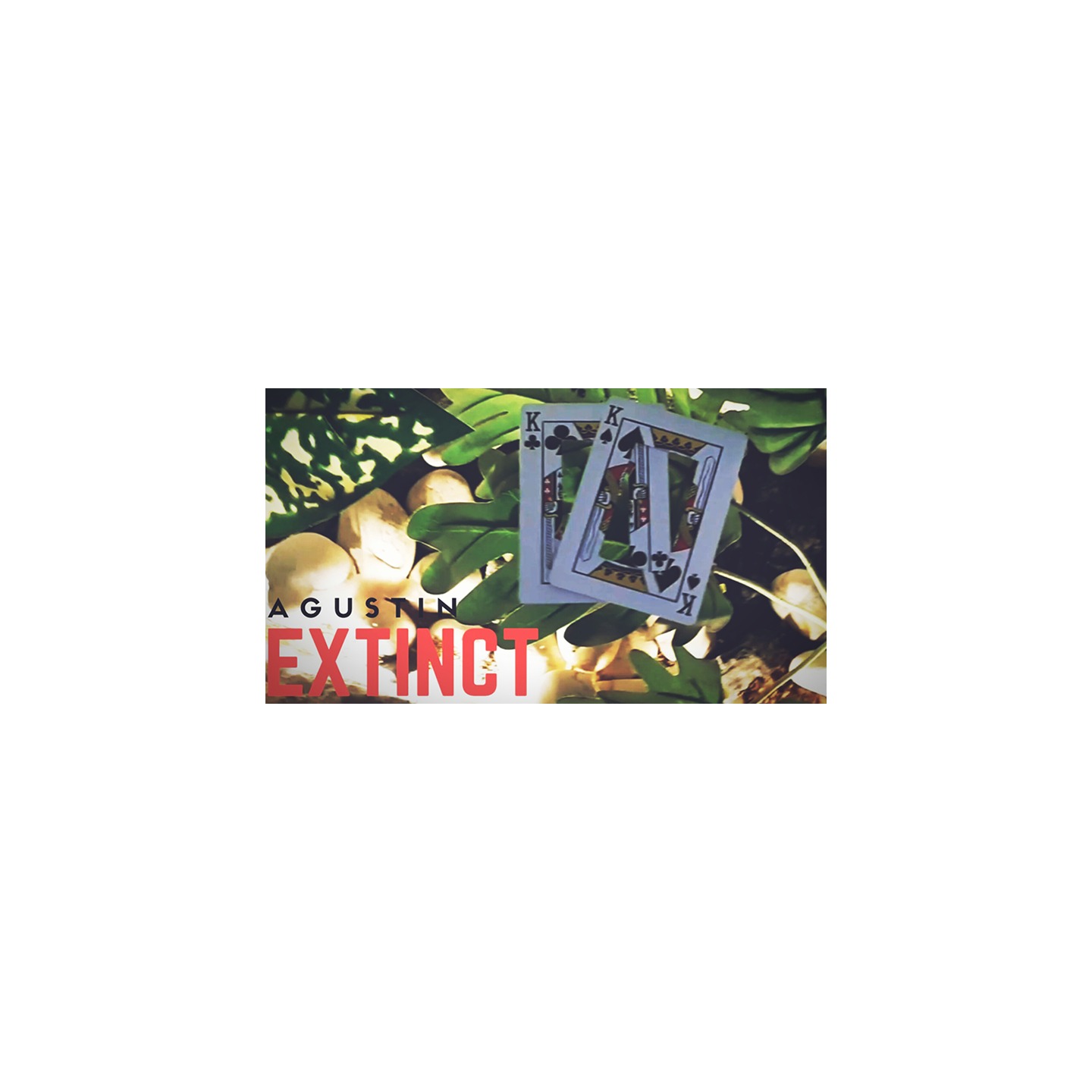 EXTINCT by Agustin - Download