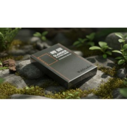 Slander Playing Cards by WohStudios