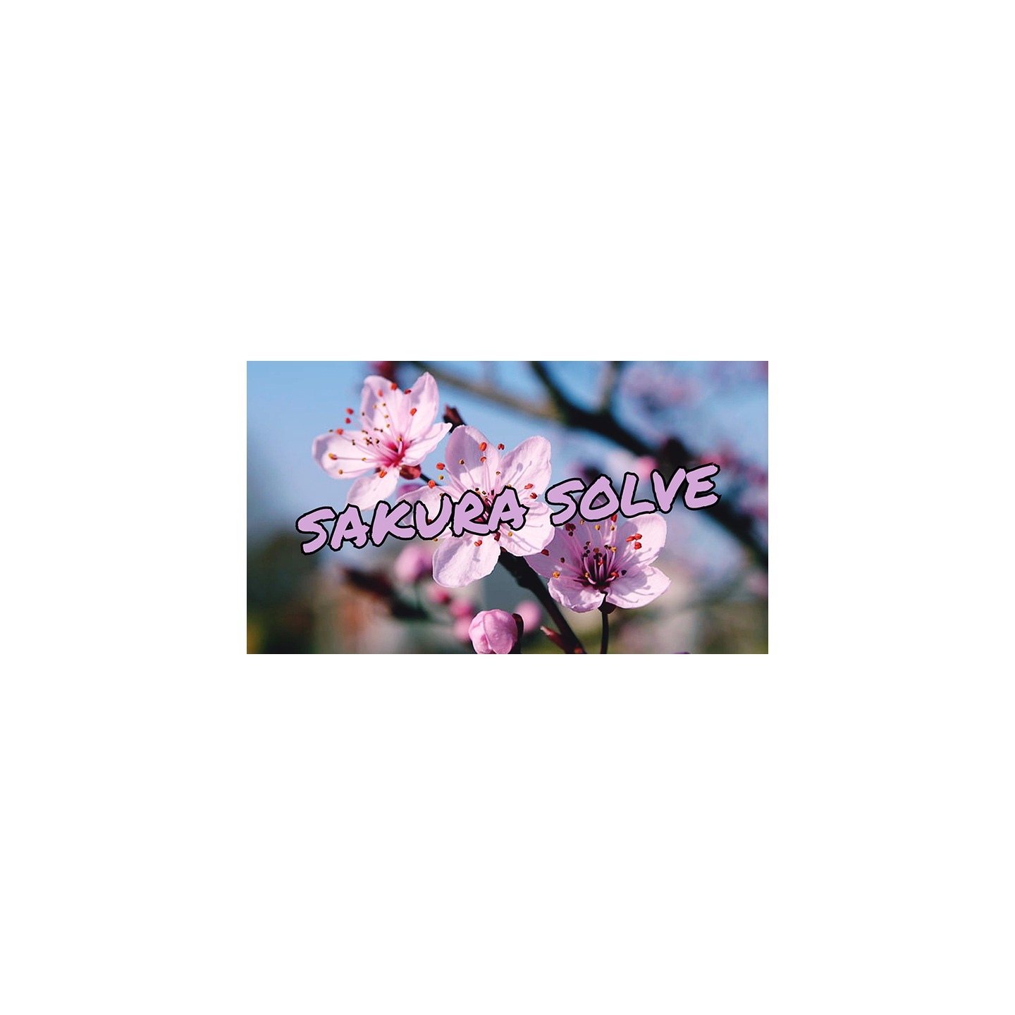SAKURA SOLVE by Cyril Hubert and JJ Team video DOWNLOAD