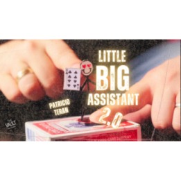 The Vault - Little Big Assistant 2 by Patricio Teran video DOWNLOAD
