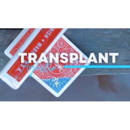 Transplant by Agustin video DOWNLOAD