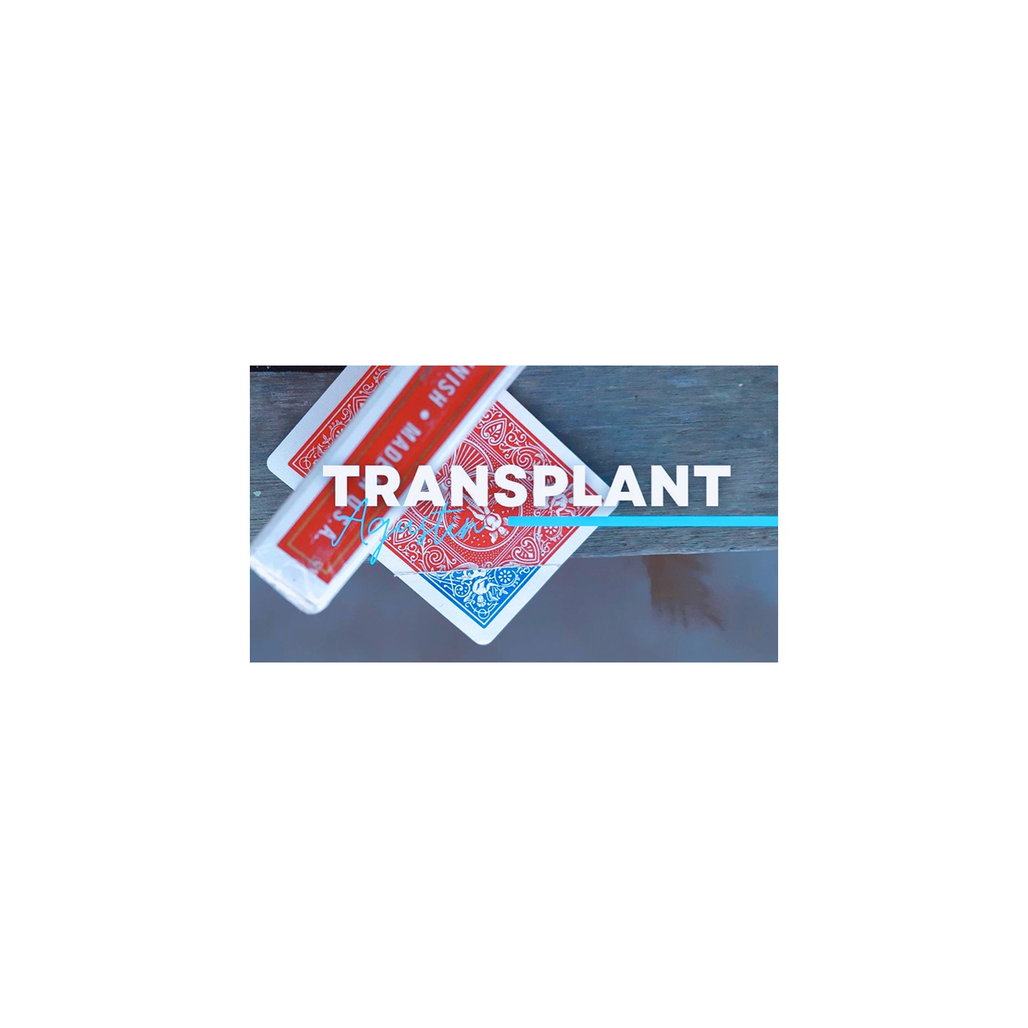 Transplant by Agustin video DOWNLOAD