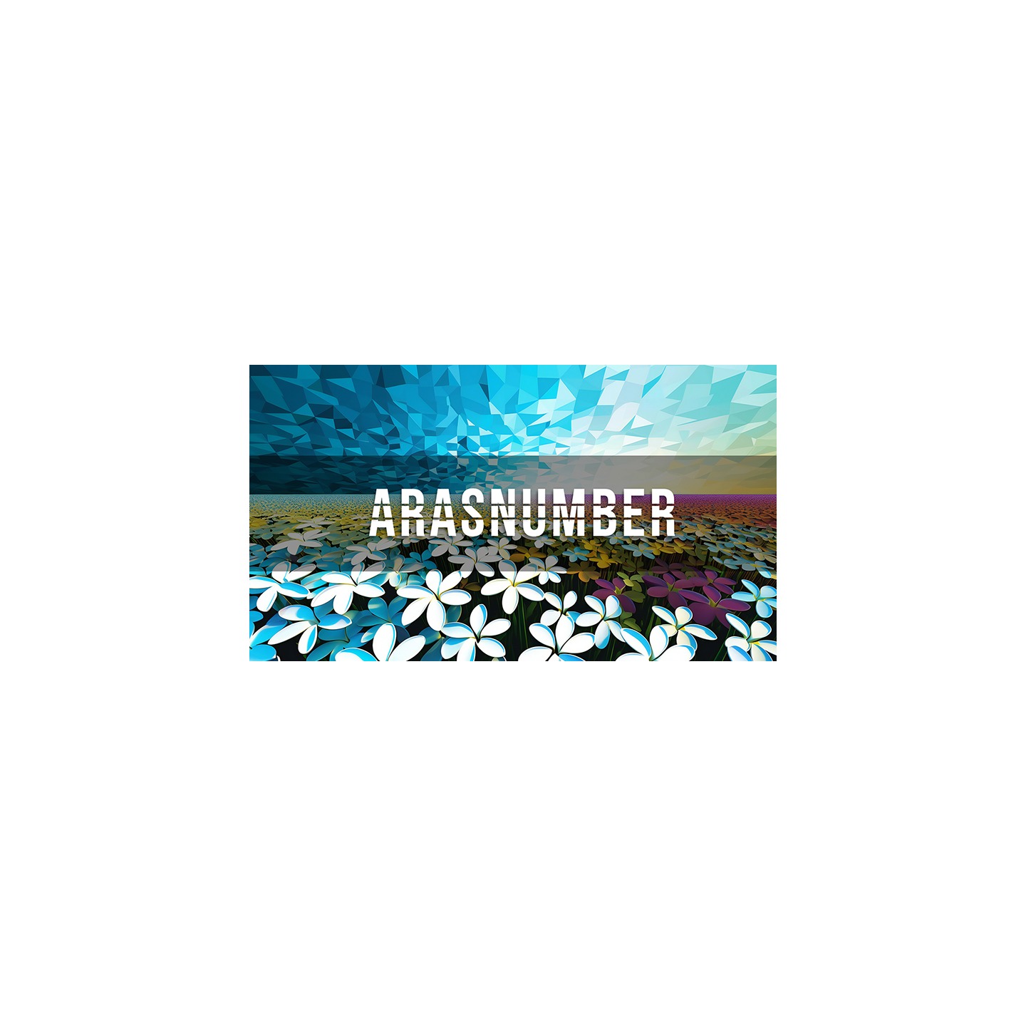 Arasnumber by Negan video DOWNLOAD