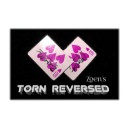Torn Reversed by Zoen's video DOWNLOAD