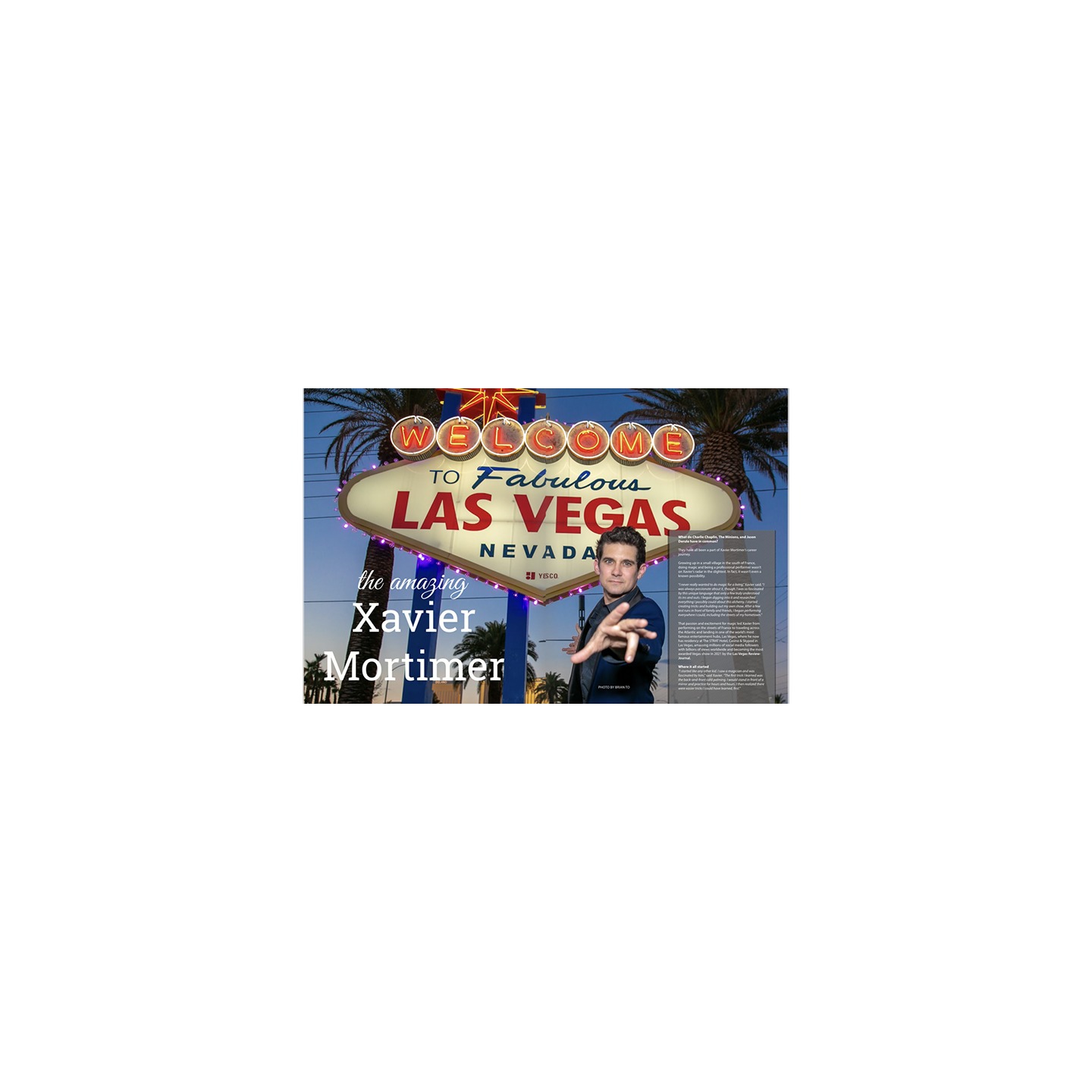 VANISH MAGIC MAGAZINE 100 ebook DOWNLOAD