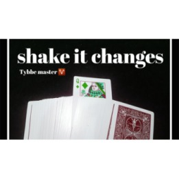 Shake it Changes by Tybbe Master video DOWNLOAD