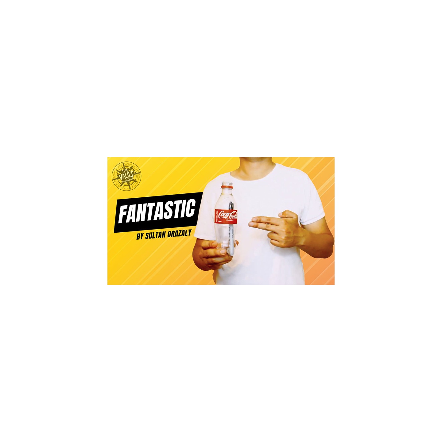 The Vault - Fantastic by Sultan Orazaly video DOWNLOAD