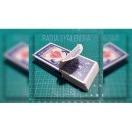 Pile Cards by Radja Syailendra video DOWNLOAD