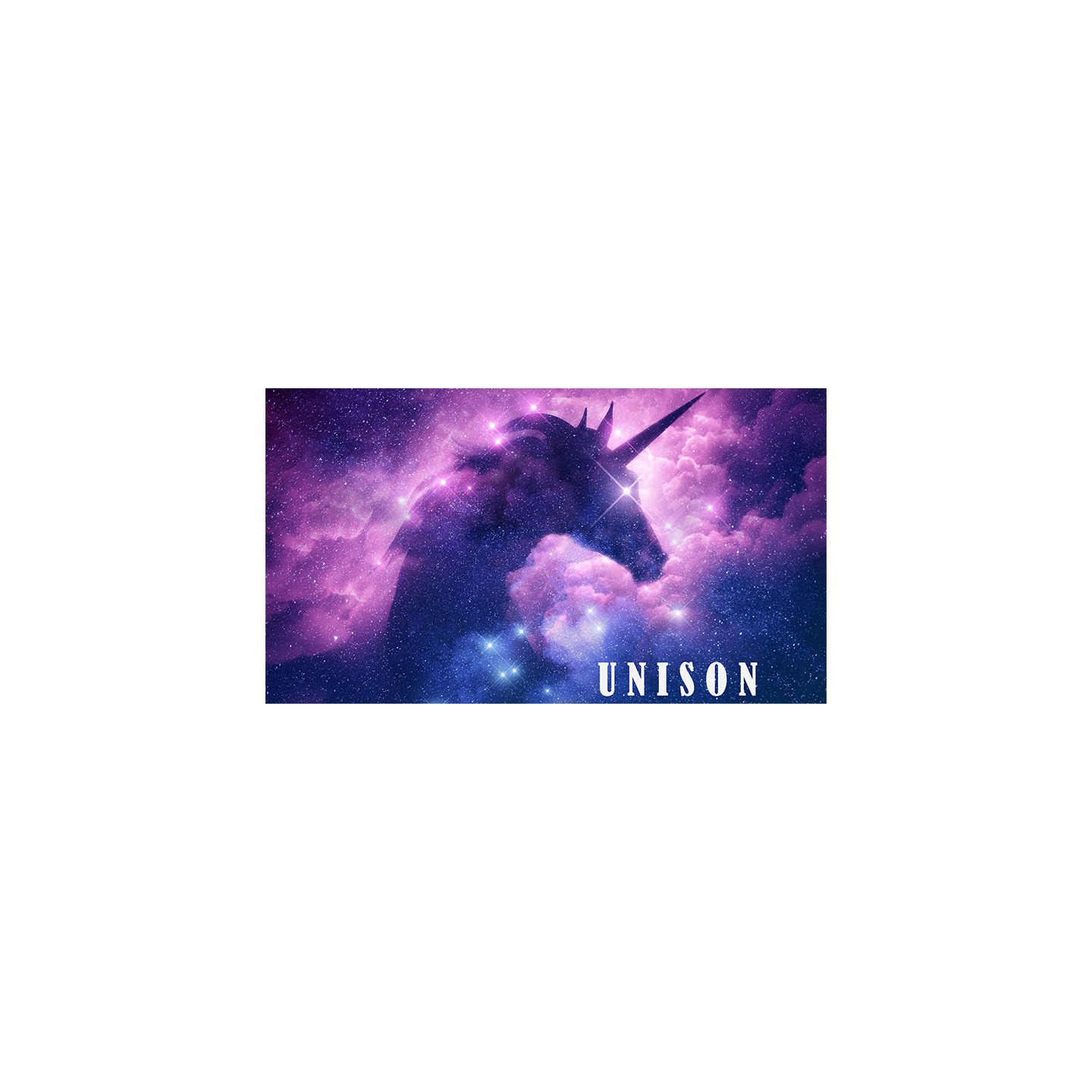 UNISON by Dibya Guha ebook DOWNLOAD
