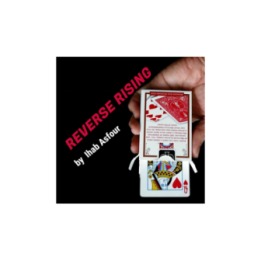 Mario Tarasini presents: Reverse Rising by Ihab Asfour - video DOWNLOAD