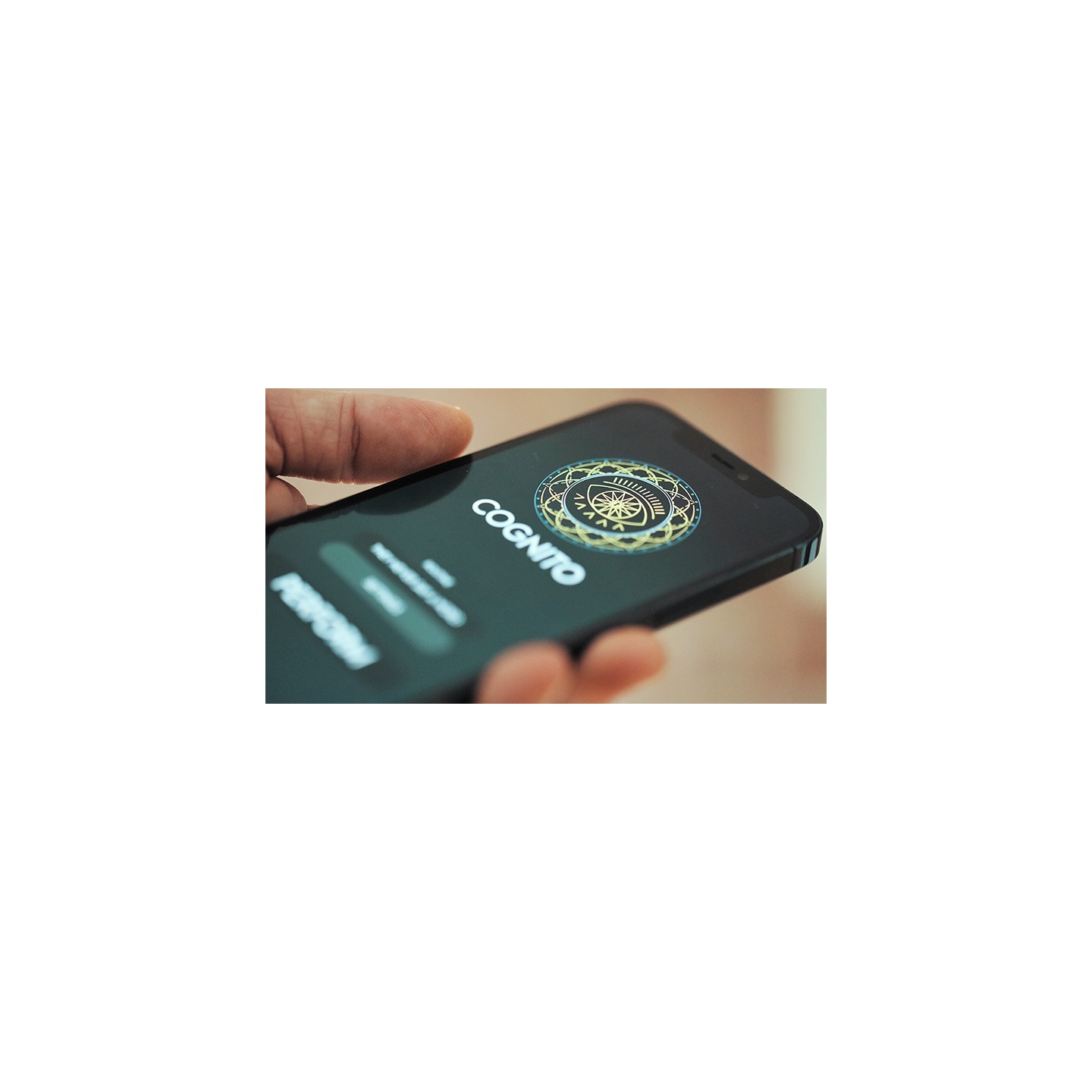 Cognito (App & Online Instructions) by Lloyd Barnes & Owen Garfield - Instant Download
