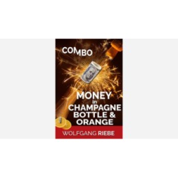 Money in Champagne Bottle & Orange by Wolfgang Riebe ebook DOWNLOAD