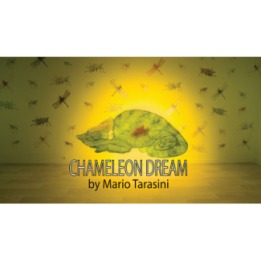 Chameleon Dream by Mario Tarasini video DOWNLOAD