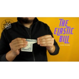 The Vault - Elastic Bill by Sultan Orazaly video DOWNLOAD