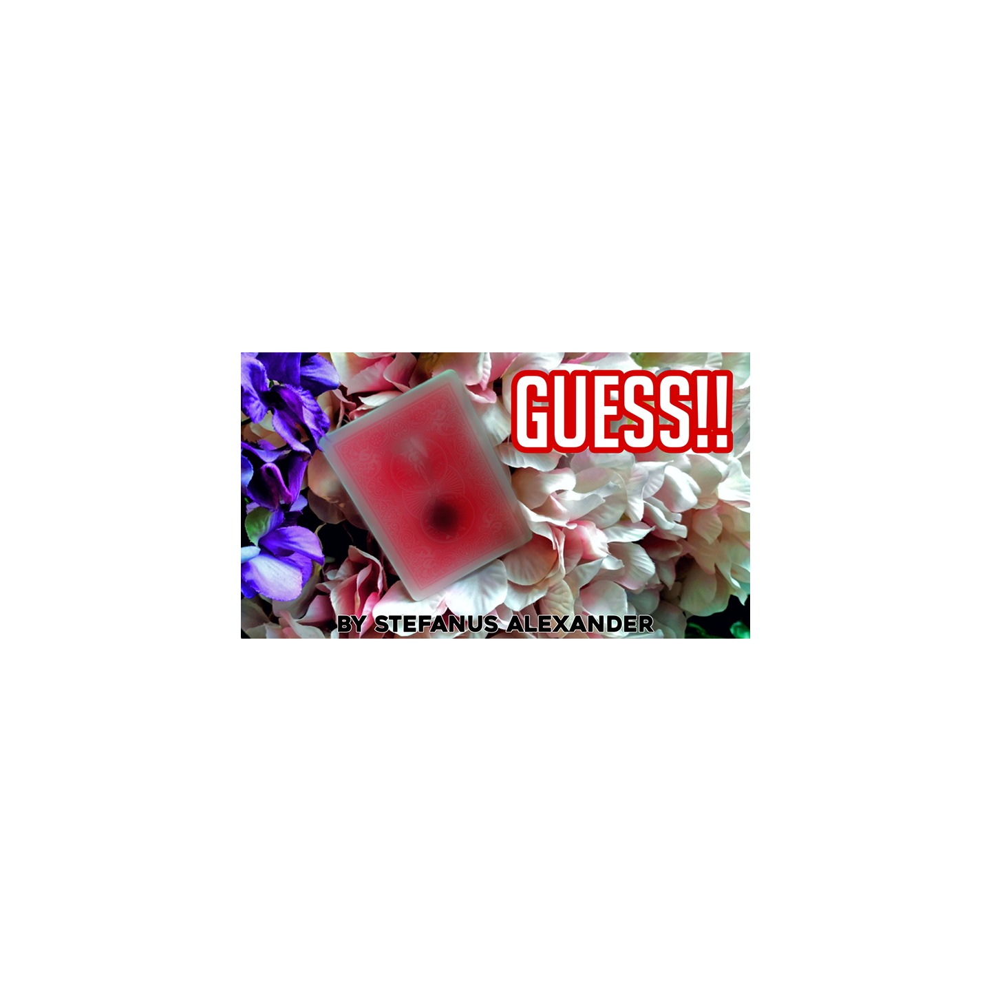 GUESS by Stefanus Alexander video DOWNLOAD