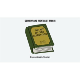 The Art of Card Divination by Juan Pablo (Universal)