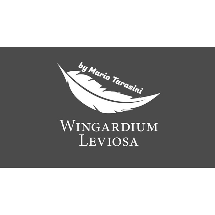 Wingardium Leviosa by Mario Tarasini video DOWNLOAD