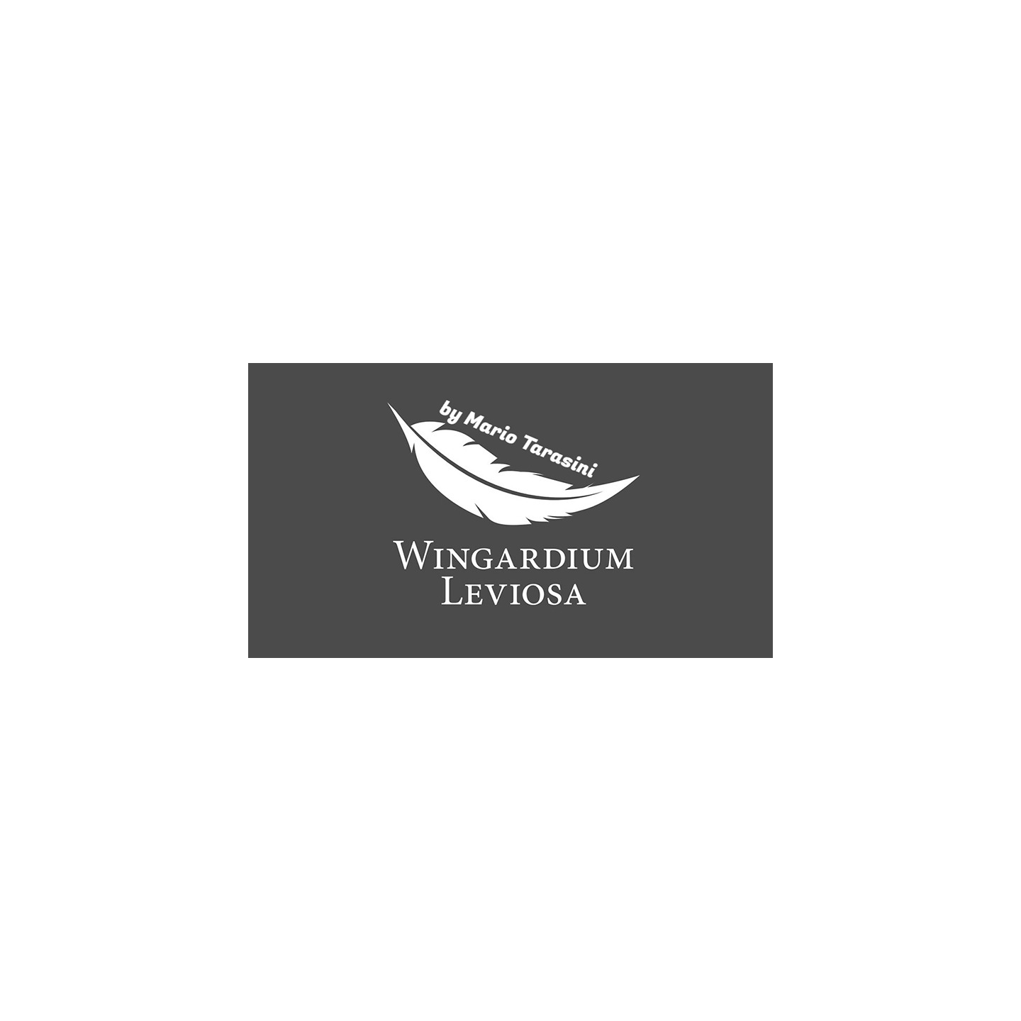 Wingardium Leviosa by Mario Tarasini video DOWNLOAD