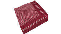 Syouma Silk (Red) by Tejinaya Magic - Trick