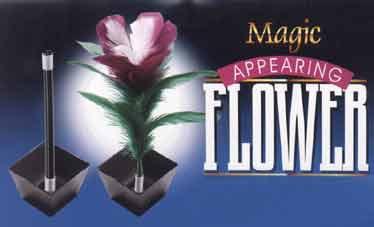 OBJEVENÍ KVĚTINY - APPEARING FLOWER