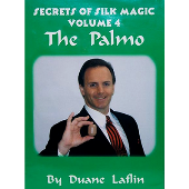 Palmo, The Laflin Silk series - 4 Video DOWNLOAD